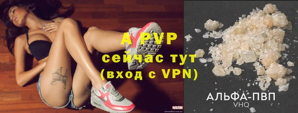 дмт Абаза