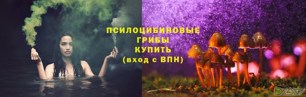 дмт Абаза