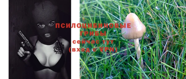 гашик Абинск